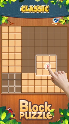 Block Puzzle: Board Games