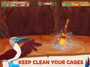 Bird Land: Pet Simulation Game