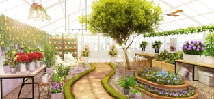Home Design : My Dream Garden