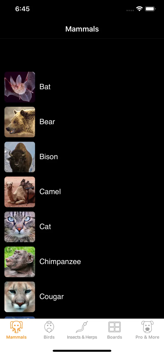 Animal Sounds and Noises - iPhone/iPad game play online at 